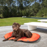 COUSSIN TAUPE GRIS REVERSIBLE 117X72CM F