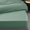 DRAP HOUSSE PERCALE TILLEUL 160x200CM DRAP HOUSSE PERCALE TILLEUL 160x200CM