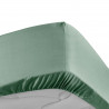 DRAP HOUSSE PERCALE TILLEUL 160x200CM DRAP HOUSSE PERCALE TILLEUL 160x200CM