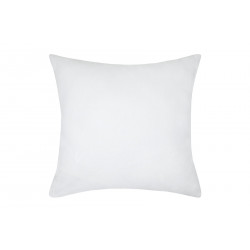 COUSSIN COQUIN VANILLE 40X40CM