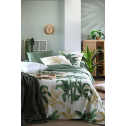 HOUSSE COUETTE ARAMA 260X240 VERT PERCAL