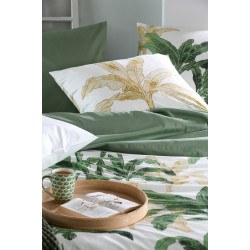 HOUSSE COUETTE ARAMA 260X240 VERT PERCAL