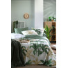 TAIE OREILLER ARAMA SAC 63X63 VERT PERCA TAIE OREILLER ARAMA SAC 63X63 VERT PERCA