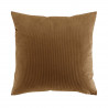 COUSSIN CASUAL CAMEL VELOURS COTELE UNI