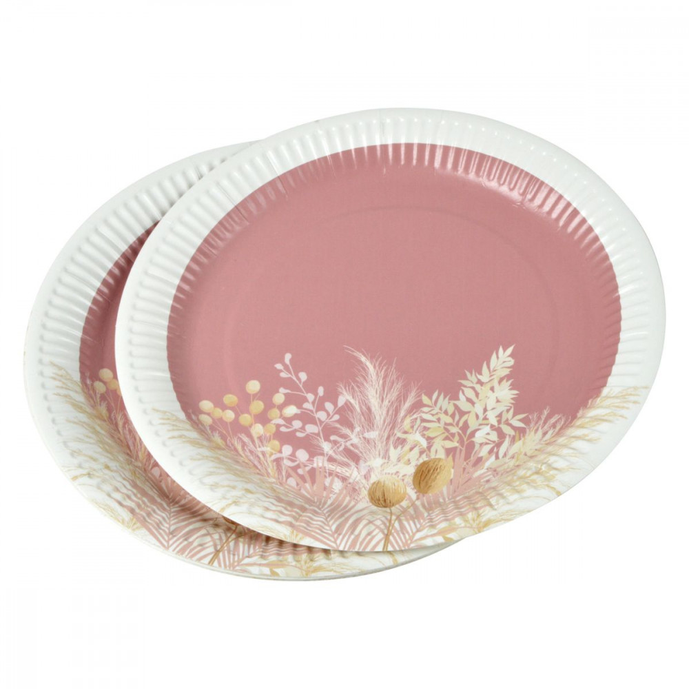 ASSIETTES X10 PAMPA EN CARTON D23CM