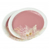 ASSIETTES X10 PAMPA EN CARTON D23CM