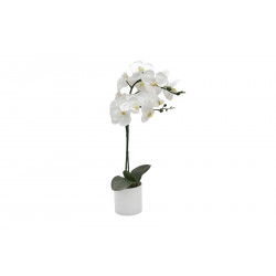 ORCHIDEE 56CM