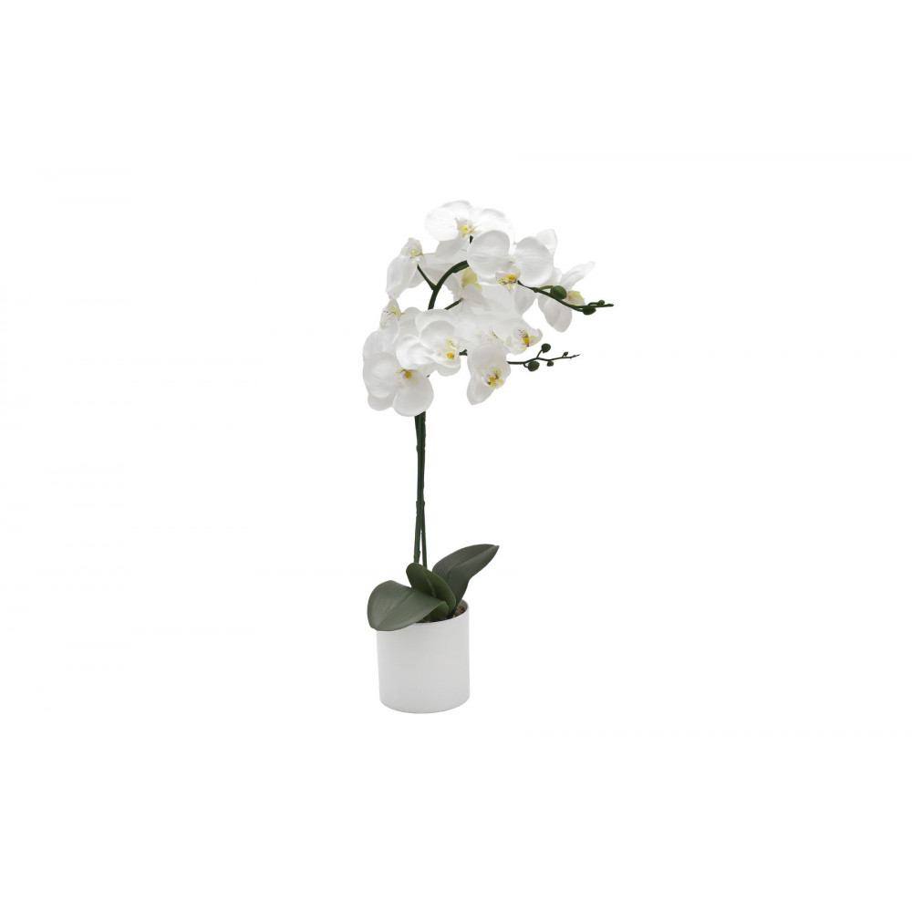 ORCHIDEE 56CM