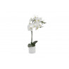 ORCHIDEE 56CM
