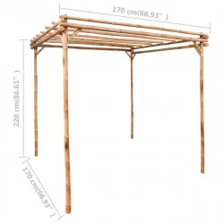 Pergola en bambou naturel 170x170xH220cm