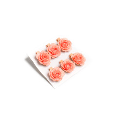 6 ROSES 3CM CORAIL SUR PINCE 3.5 CM