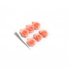 6 ROSES 3CM CORAIL SUR PINCE 3.5 CM