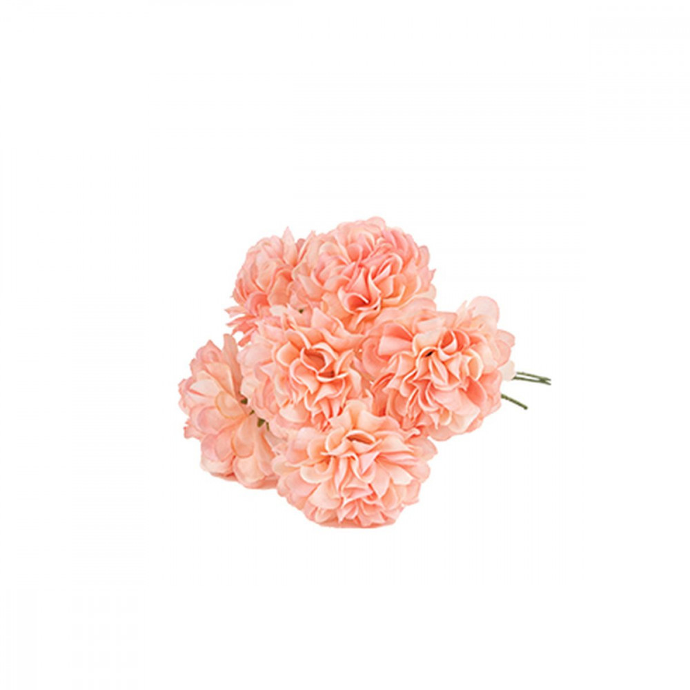 6 Hortensias Rose et Vert sur Tige 10x8c