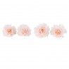 4 Pivoines Rose 9x9cm