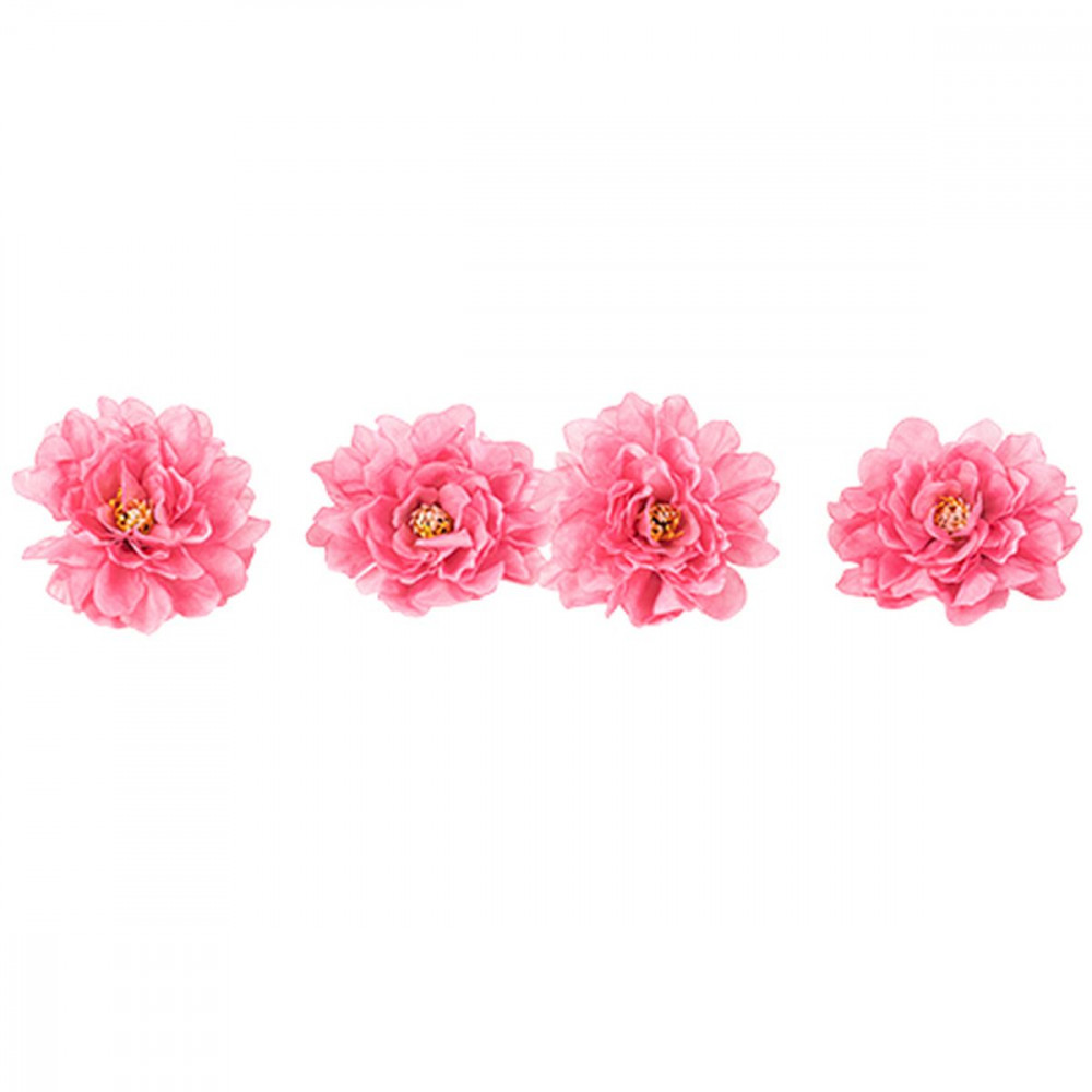 4 Pivoines Fuchsia 9x9cm