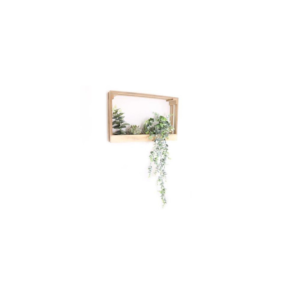 CADRE PLANTE SUCCULENTE 41X26CM