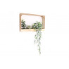 CADRE PLANTE SUCCULENTE 41X26CM