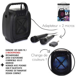 ENCEINTE SANS FIL 8W KARAOKE 2 MICROS IN
