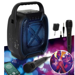 ENCEINTE SANS FIL 8W KARAOKE 2 MICROS IN