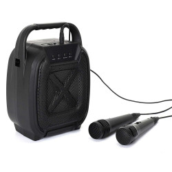 ENCEINTE SANS FIL 8W KARAOKE 2 MICROS IN