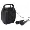 ENCEINTE SANS FIL 8W KARAOKE 2 MICROS IN ENCEINTE SANS FIL 8W KARAOKE 2 MICROS IN
