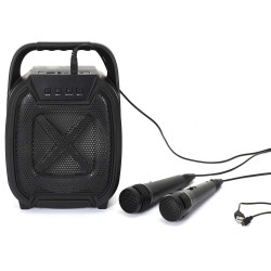 ENCEINTE SANS FIL 8W KARAOKE 2 MICROS IN