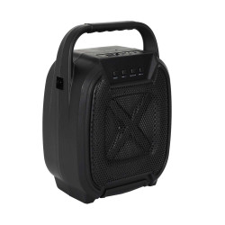 ENCEINTE SANS FIL 8W KARAOKE 2 MICROS IN