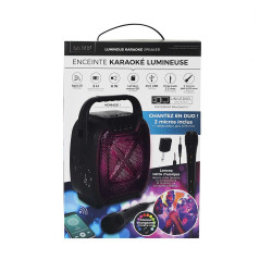 ENCEINTE SANS FIL 8W KARAOKE 2 MICROS IN