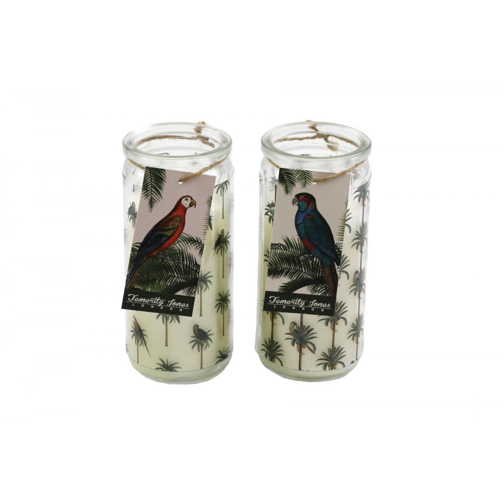 Bougie tube palm Bougie tube palm