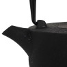 Théière en fonte Arty noir 1 litre avec filtre