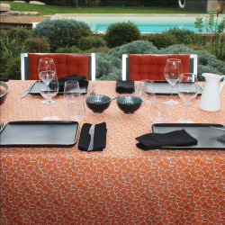 Nappe ANTIBES BURNT ORANGE 250X150 en ti