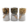 FLEURS SECHEES NATURELS EN POT 10X20CM