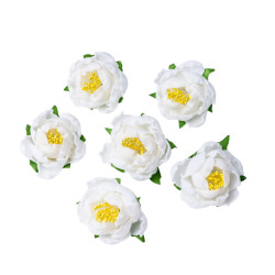 6 PIVOINES BLANCHES EN MOUSSE SUR