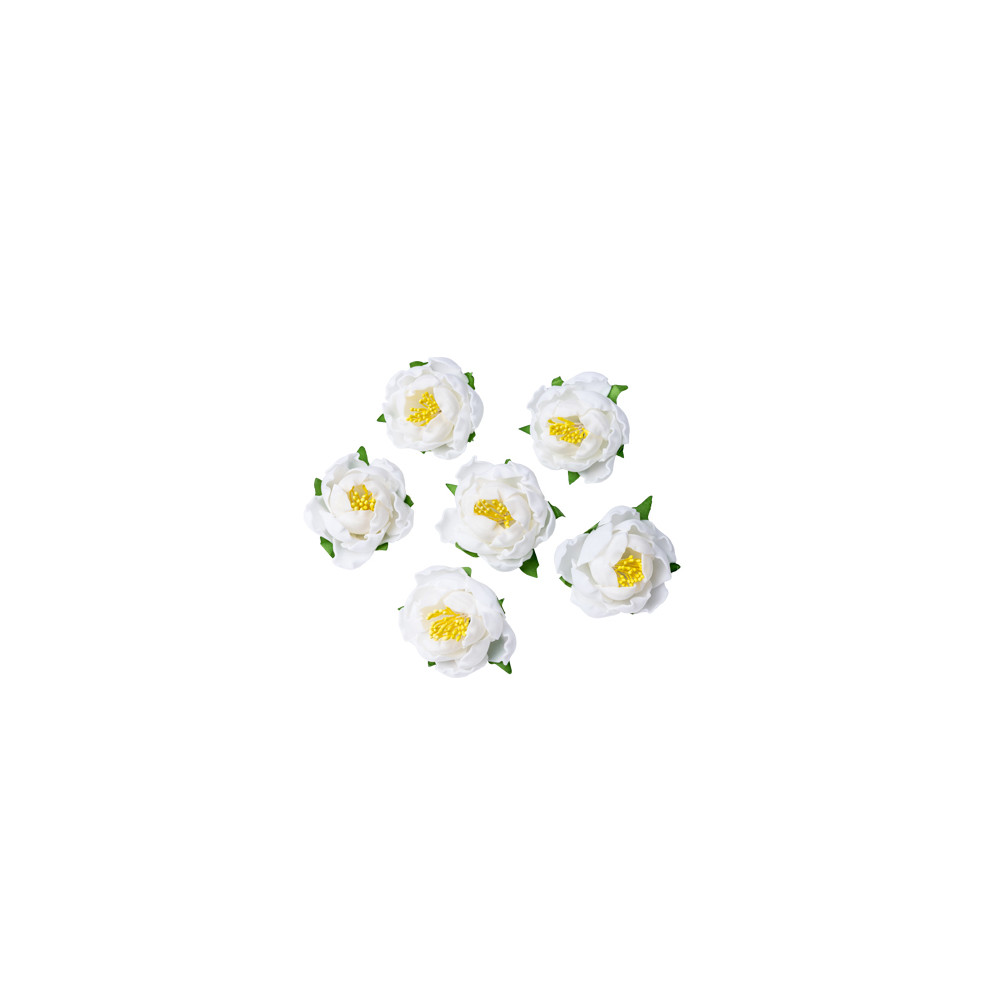6 PIVOINES BLANCHES EN MOUSSE SUR