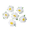 6 PIVOINES BLANCHES EN MOUSSE SUR