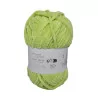 Pingo Chenille Anisade Wool