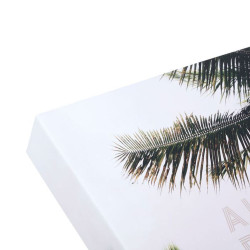 Album photo rectangulaire "Palmier" 80 pages 33x37.5cm