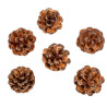 6 Pommes de Pin Paillettes Chocolat 4cm