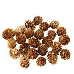 24 Pommes de Pin Or Mat Env. 3cm