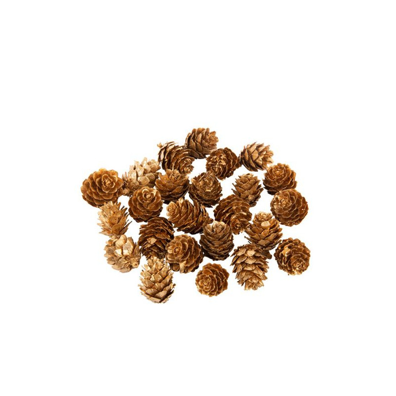 24 Pommes de Pin Or Mat Env. 3cm