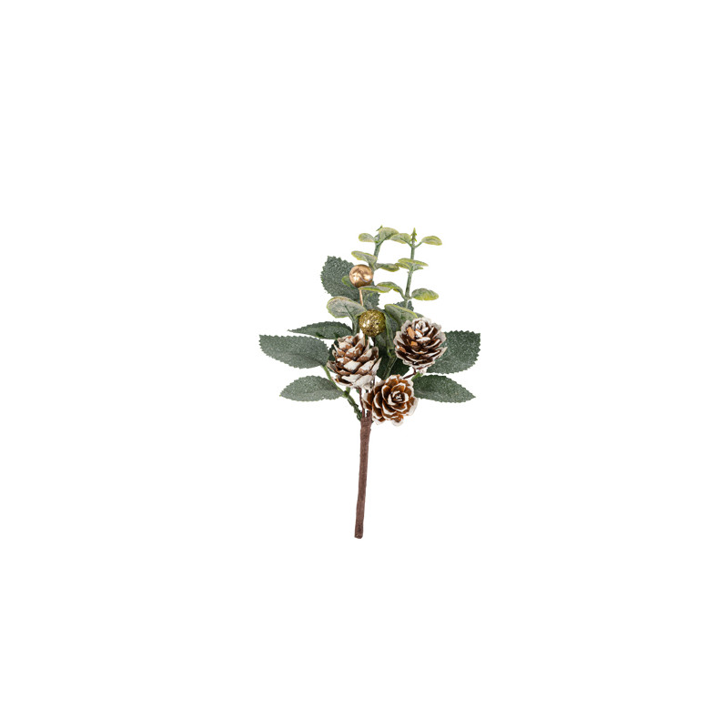 Branche d'Eucalyptus, Baies et Pommes de