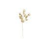 TIGE EUCALYPTUS DORE 71CM