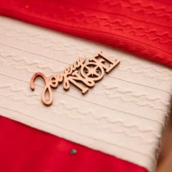 Confettis "Joyeux Noël" en Bois rouge Lot de 10
