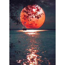 Kit diamond painting PLEINE LUNE 30X40cm
