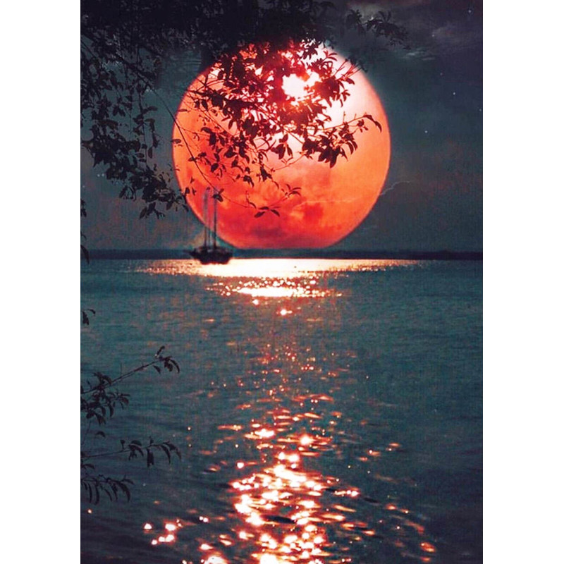 Kit diamond painting PLEINE LUNE 30X40cm