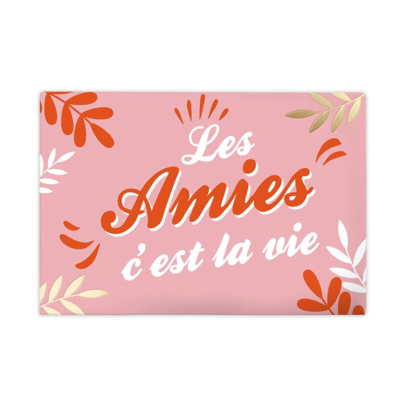 MAGNET LES AMIES...LA VIE