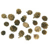 Pommes de pin 1,5 à 3 cm x 20 pcs