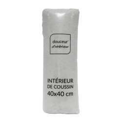 INTERIEUR COUSSIN 40x40CM