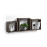 SET DE 3 CUBES GIGOGNES NOYER MDF 23/26,
