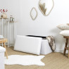 COFFRE BANC PLIABLE BOUCLETTE BLANC COFFRE BANC PLIABLE BOUCLETTE BLANC